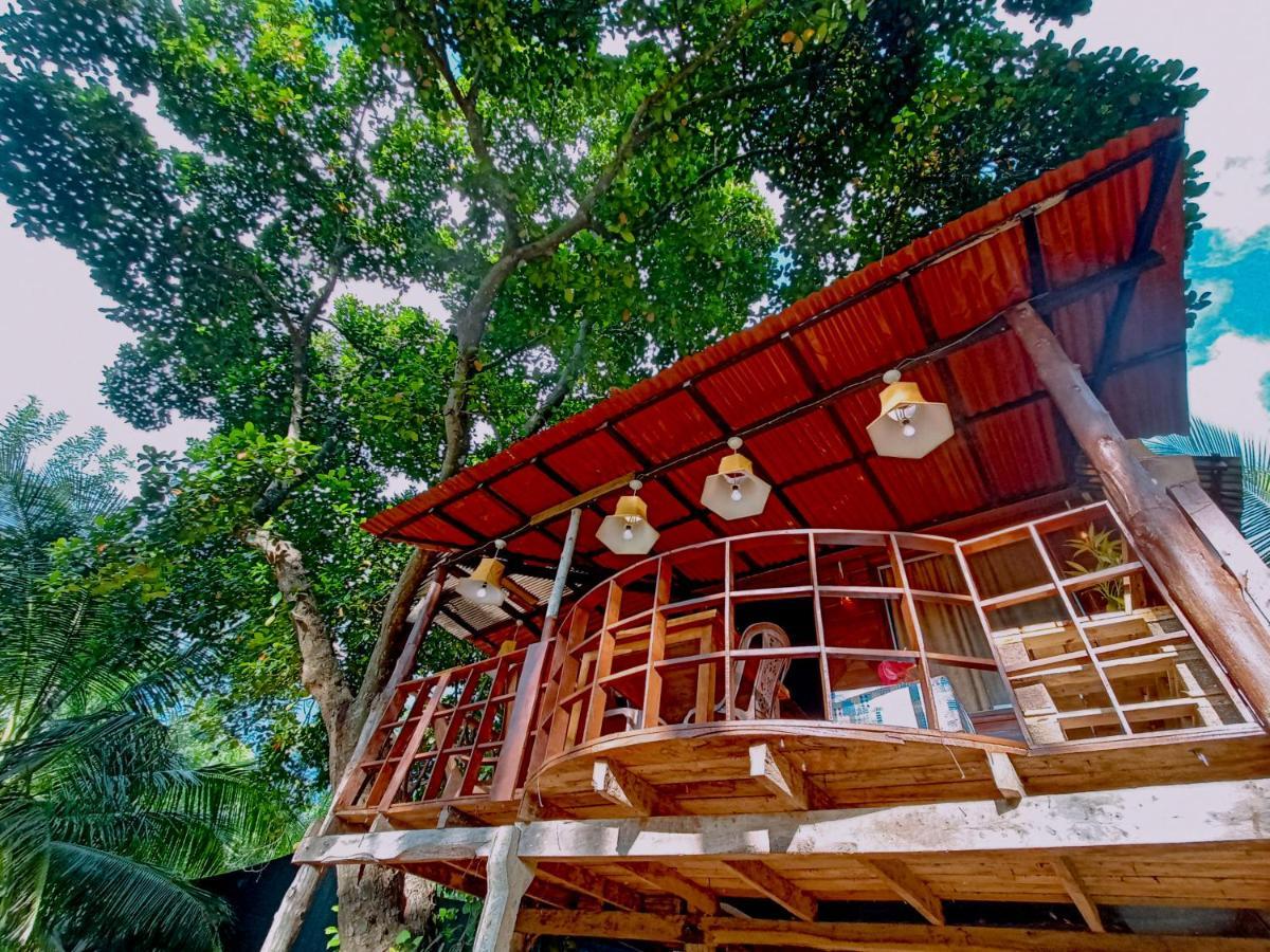 سيغيرِيا Experience The Comforts Of An Amazing Treehouse المظهر الخارجي الصورة