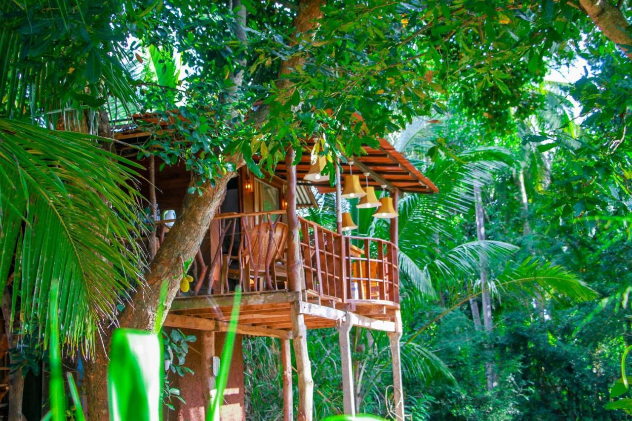 سيغيرِيا Experience The Comforts Of An Amazing Treehouse المظهر الخارجي الصورة